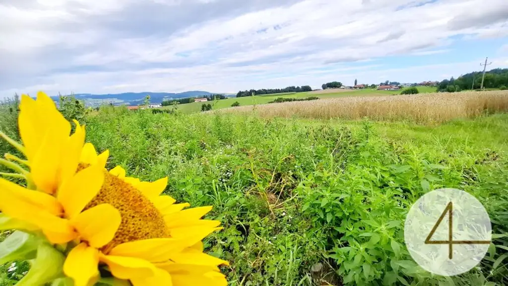 Preishammer!!! Ebenerdiger Wohntraum am Lande