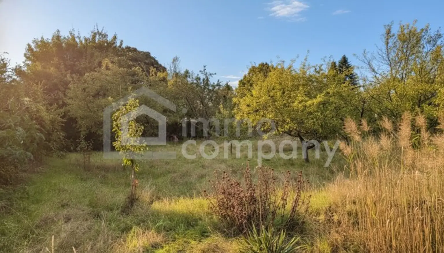 🌿 Wunderschönes Grundstück in bester Lage – vielseitig bebaubar mit zwei Wohneinheiten