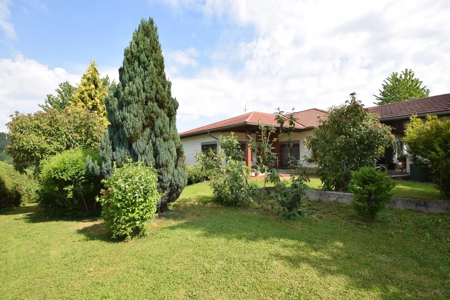 Garten mit Ziersträuchern