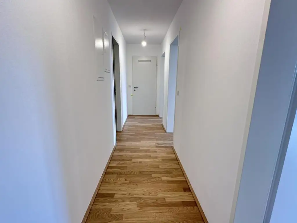 einen Katzensprung von Wien entfernt