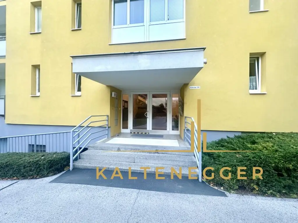 Helle 1-Zimmer Wohnung nahe Zentrum