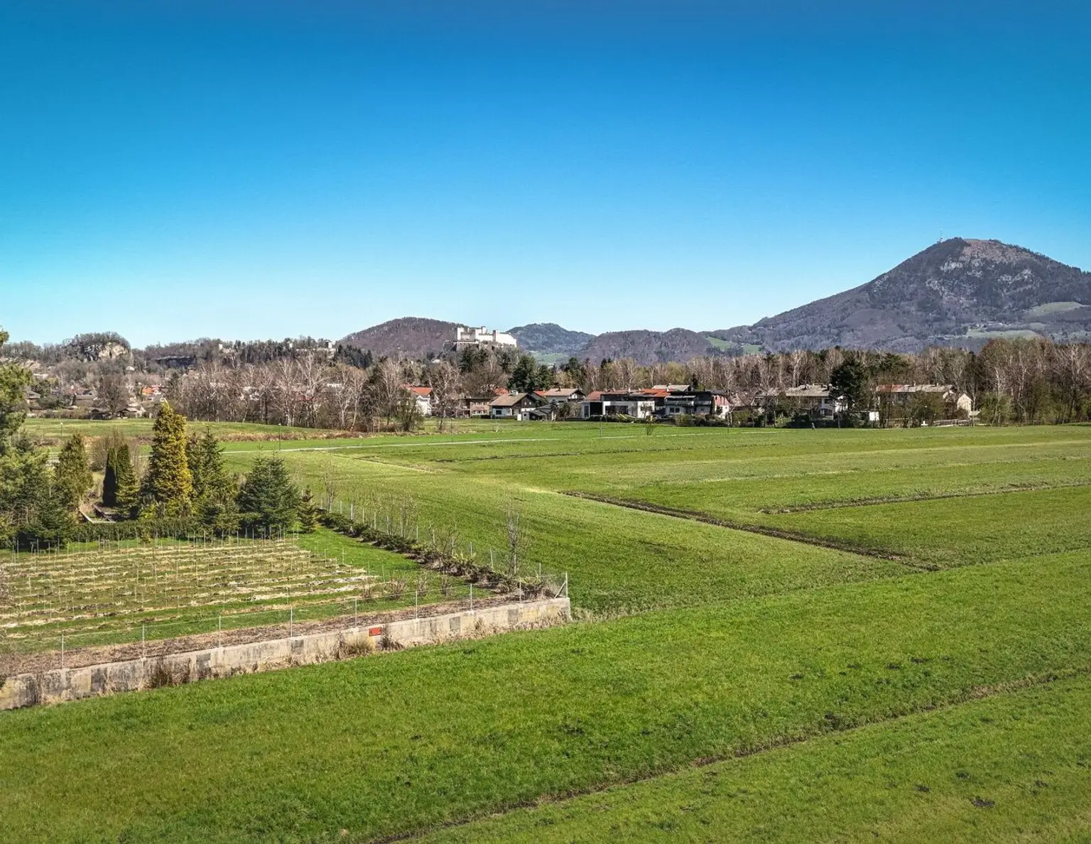 MORGENTAU LEOPOLDSKRON | PANORAMAGRUNDSTÜCK