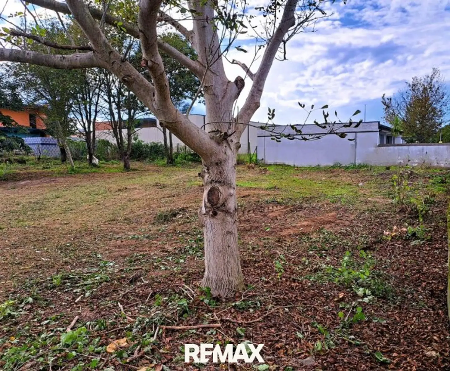 IMG-20230818-WA00001