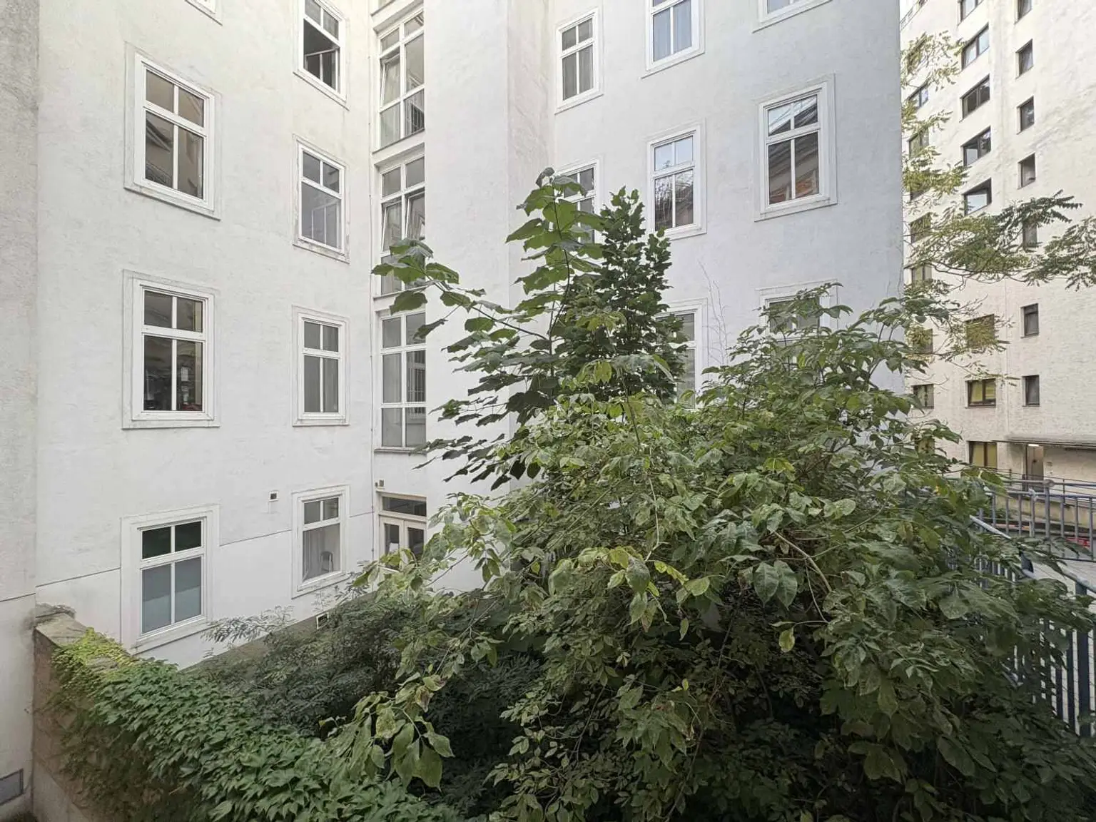 3 Zimmer Wohnung in Top Lage - 
Nahe altes AKH und Rathaus