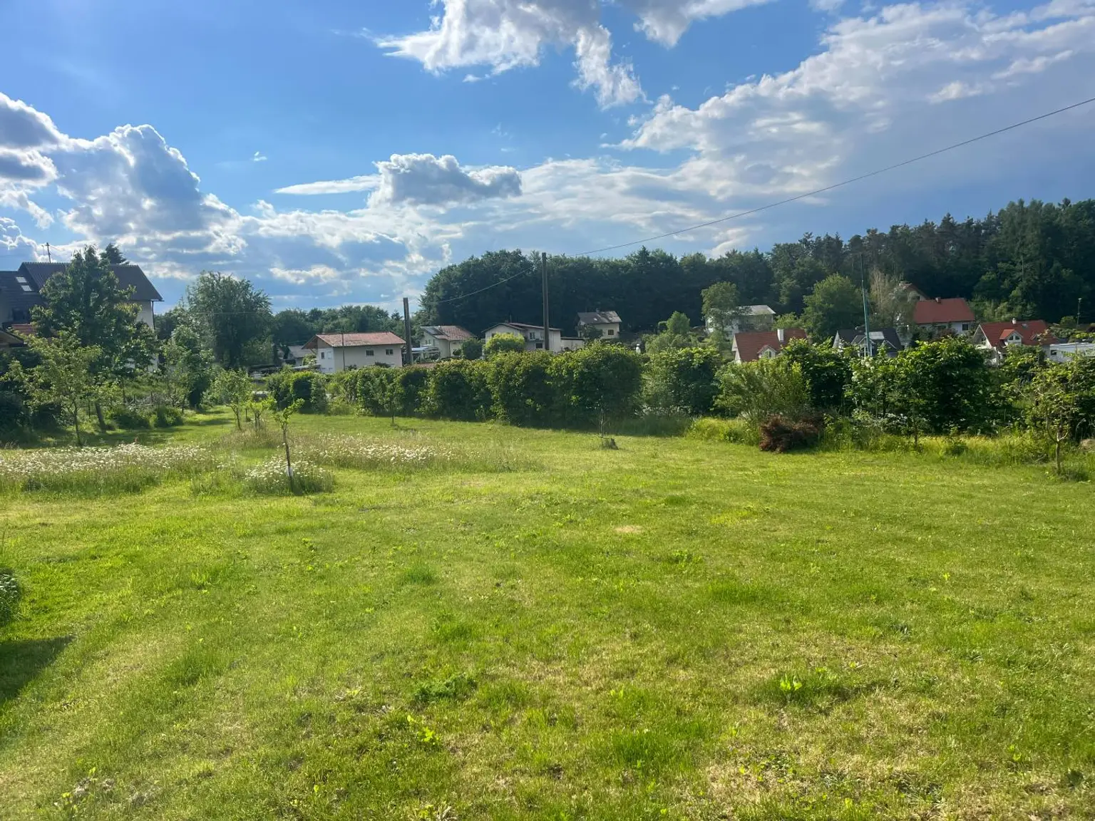 Süd West