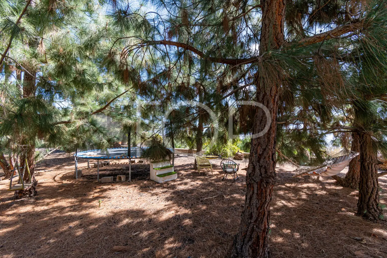 Finaca-Granadilla-xxx-Tenerifa-42