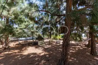 Finaca-Granadilla-xxx-Tenerifa-42