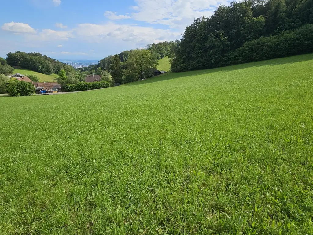 Großzügiges Grundstücksareal für Investoren, Bauträger, privaten Wohnbau