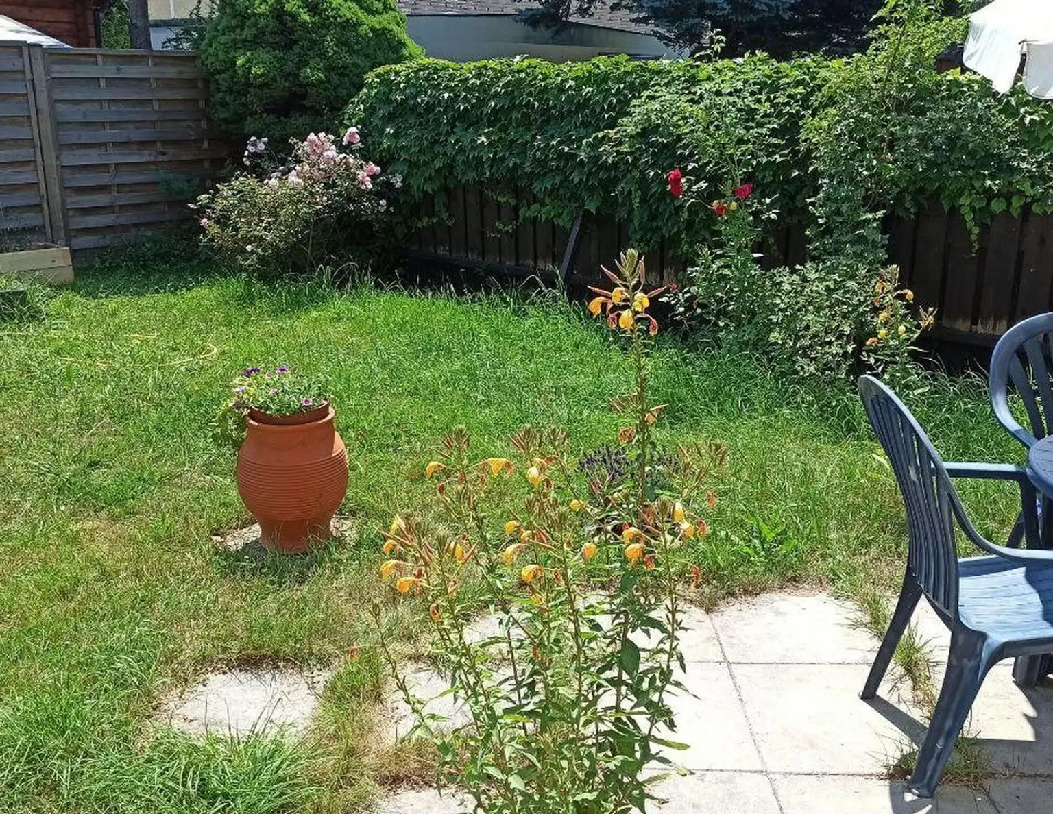Winterfestes Tiny House mit großem Pool auf Pachtgrund in Hainfeld zu vergeben.