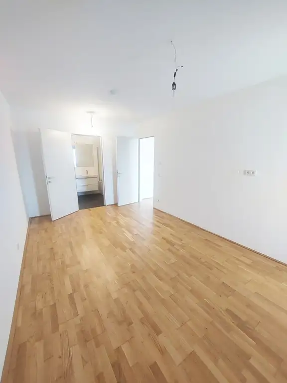 Zimmer III