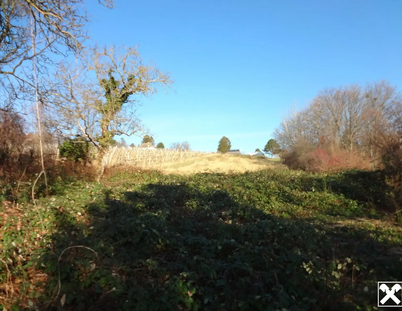 Anlage.: Grundstücke in Grinzinger Wald- und Wiesen Schutzgebiet " KEIN BAUGRUND"