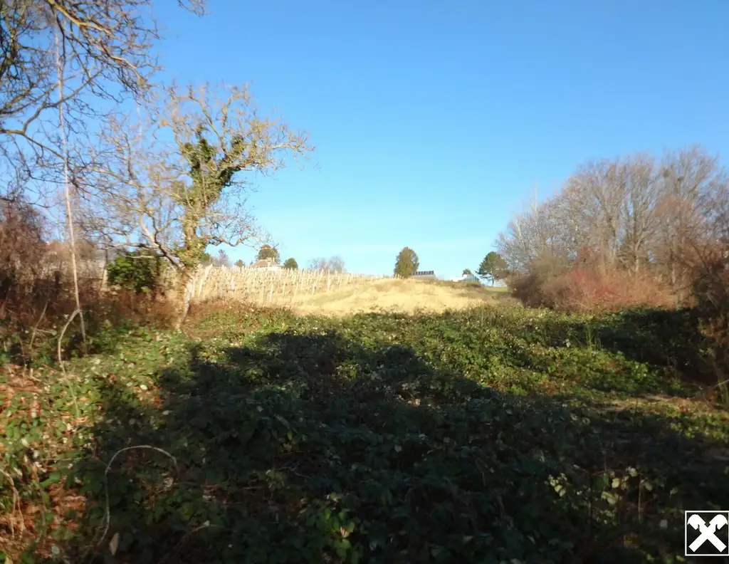 Anlage.: Grundstücke in Grinzinger Wald- und Wiesen Schutzgebiet " KEIN BAUGRUND"