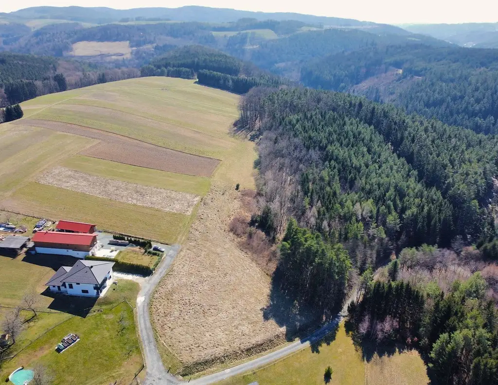 Provisionsfrei und ohne Bauzwang - Baugrund mit 2600m2