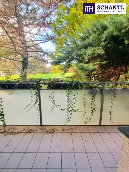 Absolute Grün- und Ruhelage! Gebraucht. Gepflegt. Geliebt! Perfekt aufgeteilte 3-Zimmer + separate Küche / 2 Balkone / Viele Möglichkeiten! Ruhig wohnen, gut leben!