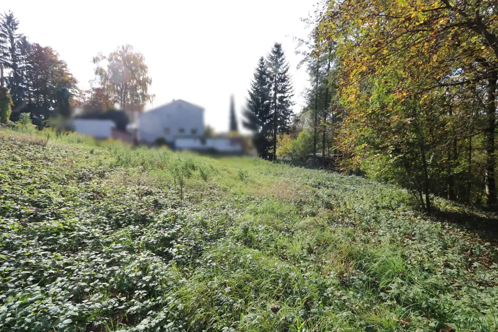 Bauen. Leben. Glücklich sein – schönes Grundstück in beliebter Lage.