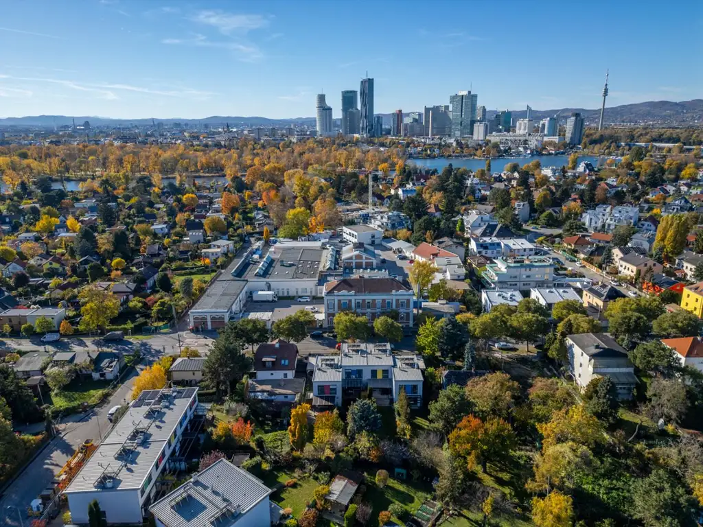 "Where the Alte Donau Becomes Home"