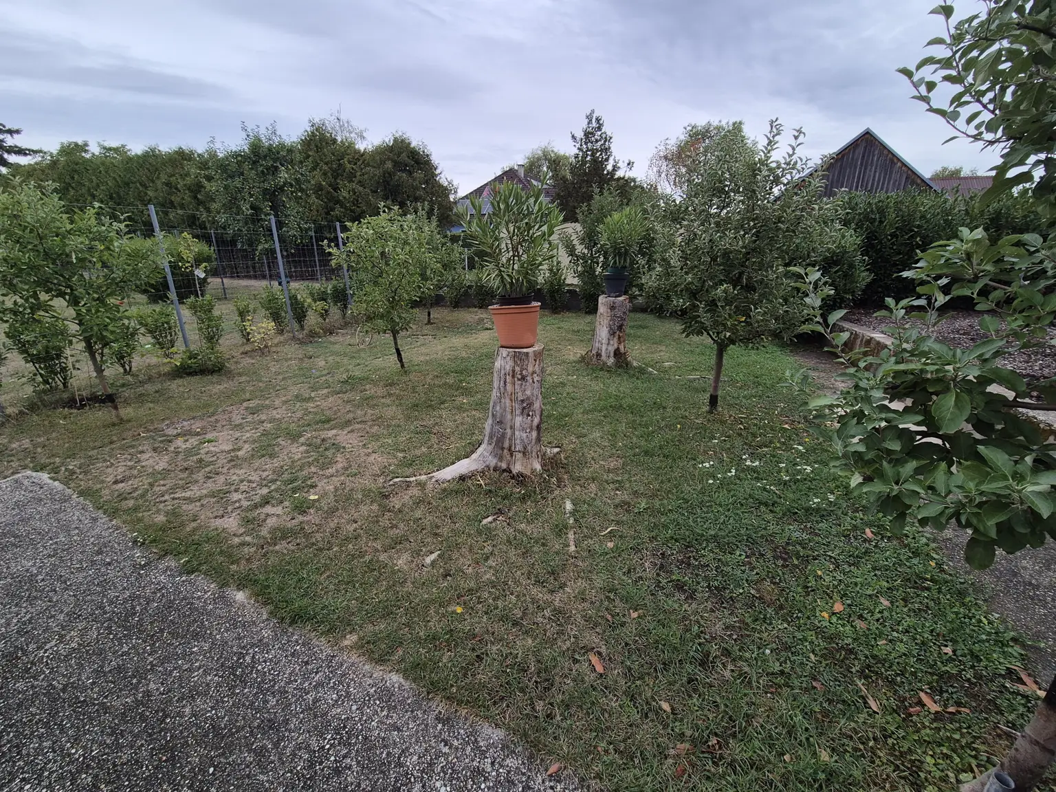 Garten 2