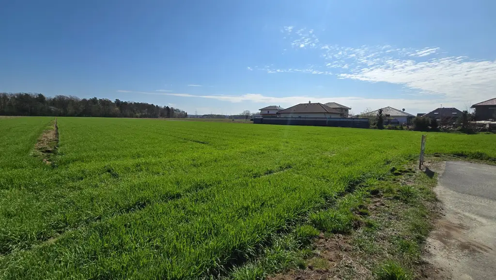 Grundstücke ab 944m² in Top-Lage - Gralla bei Leibnitz  zu verkaufen