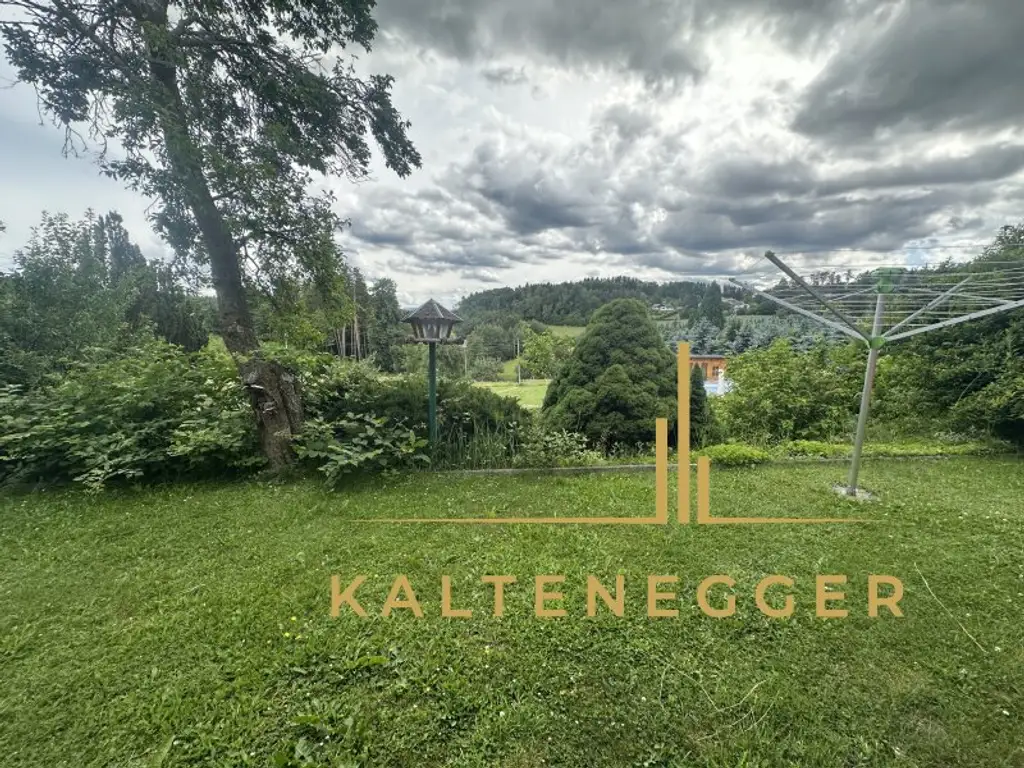 Großzügiges Haus in Ruhelage mit Grünblick