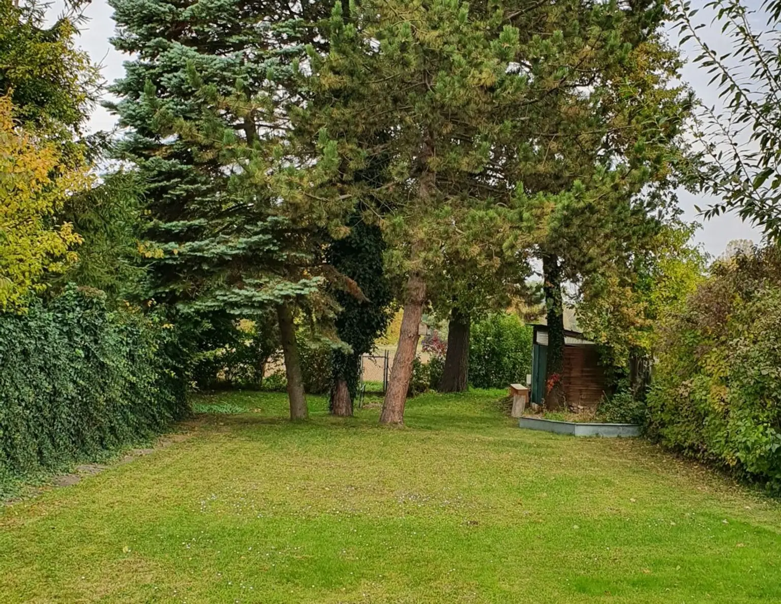 Günstiger Baugrund - an MISTELBACHER Stadtgrenze mit Altbestand