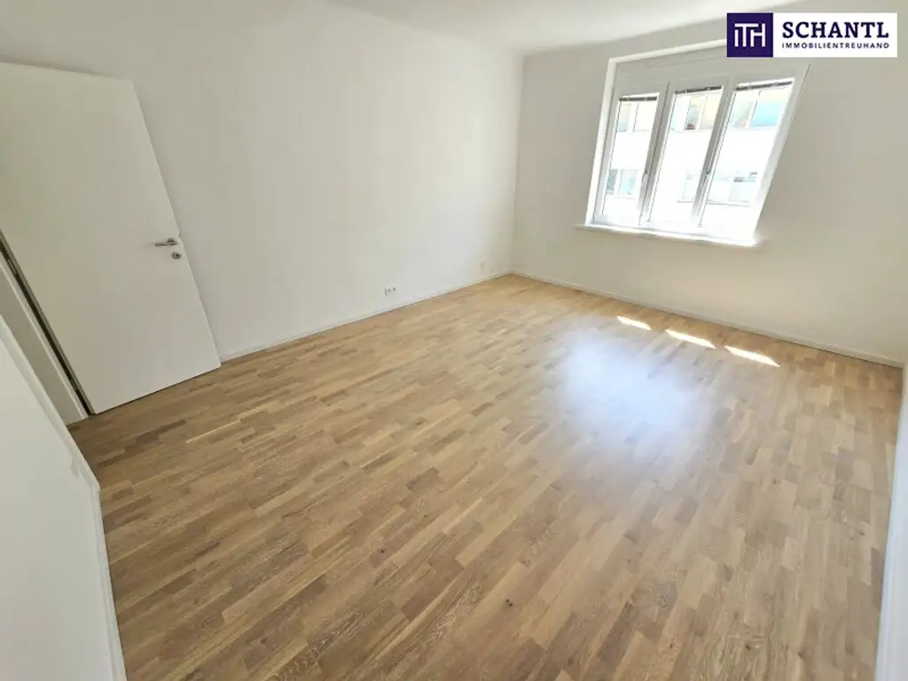 Grün soweit das Auge reicht - Ihr Ruhepol im 18.Bezirk! TOP saniert + Hofseitiger Balkon + Viel Grün + Viel Lebensqualität + Absolute Ruhelage + Ideale Raumaufteilung! Besser geht´s nicht! Nicht lange zögern...