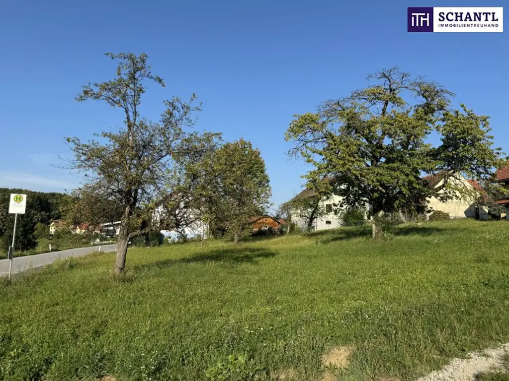 Traumgrundstück mit 913m² in Raaba-Grambach – Schöckl-Blick, Fernblick & Ruhelage