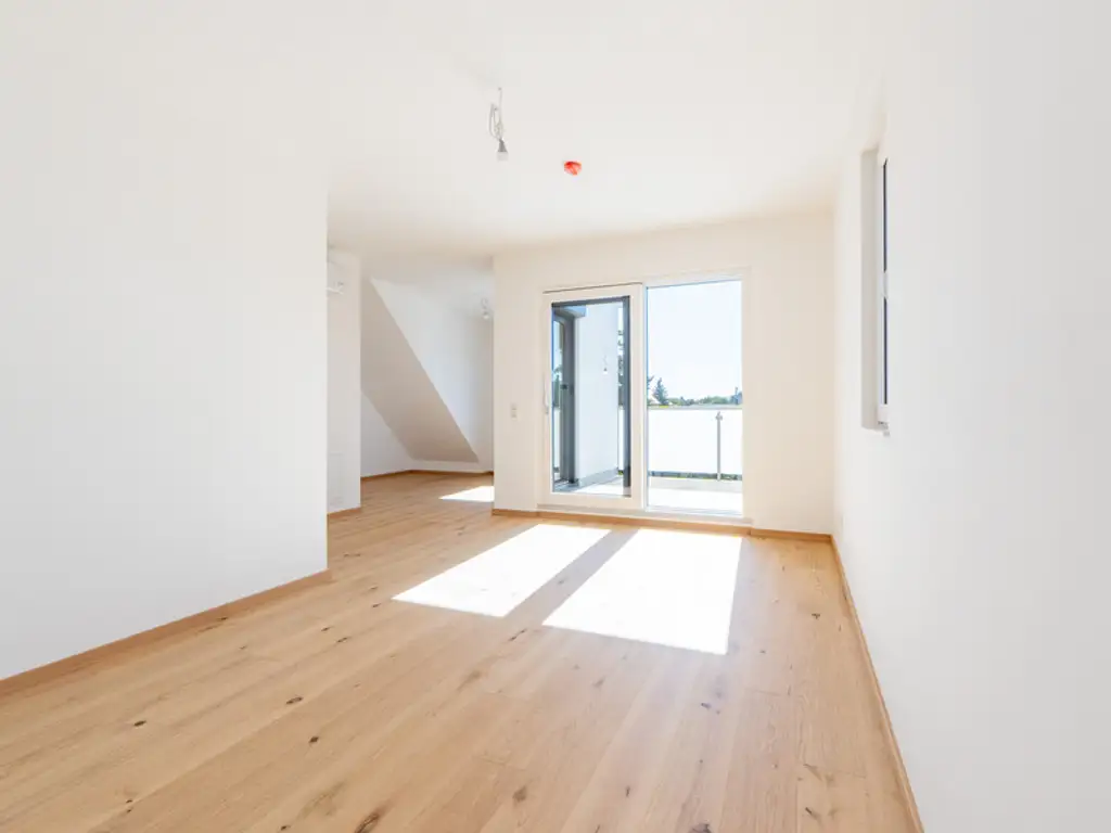 1220, Arminenstraße, Nur 200 m Luftlinie zur unteren Alten Donau, Einzelhaus