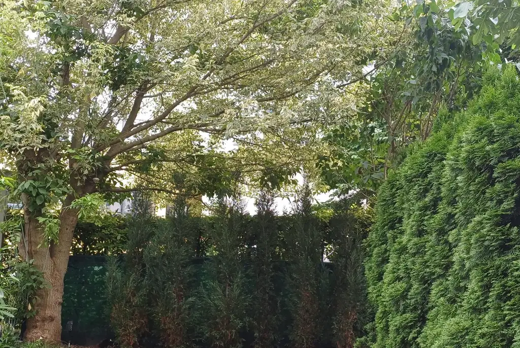 Schicke Gartenmaisonette mit Loggien, Balkon und Garage