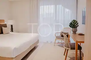 DSCF8234