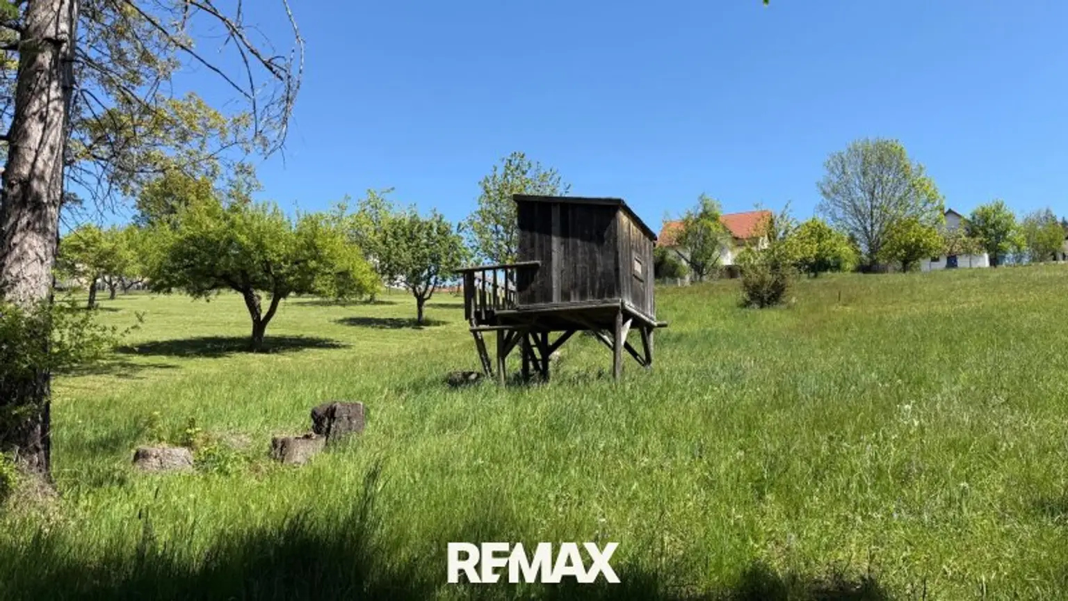 Garten mit Baumhaus