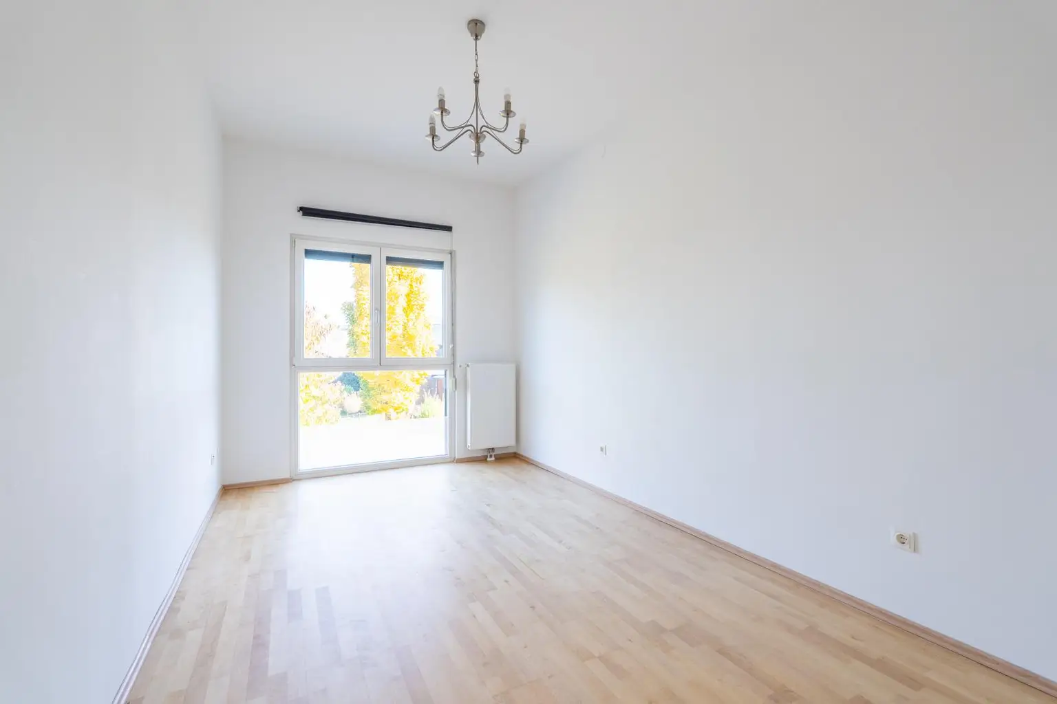 "Where the Alte Donau Becomes Home"