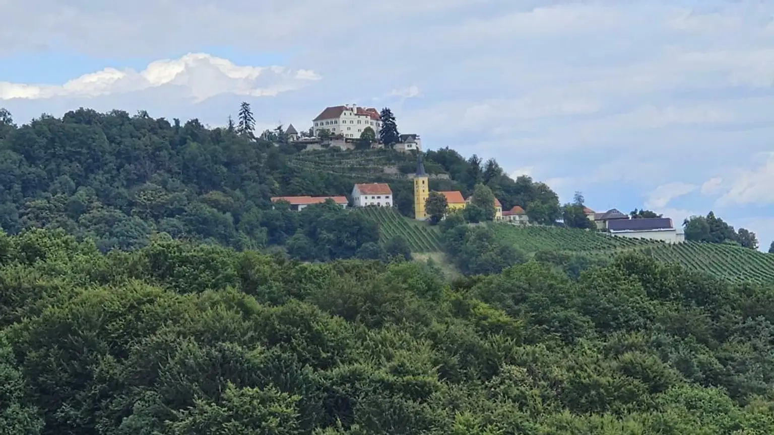 ** Geschmackvolles Zweifamilienwohnhaus - ca. 1,9ha LW-Fläche mit Wald ** unvergleichbarer Panoramablick auf Schloss Kapfenstein und das steirische Hügelland **