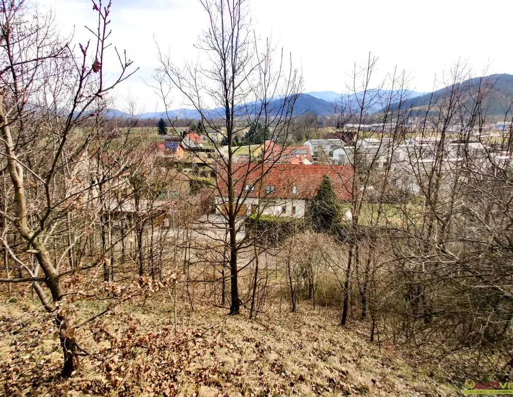 Großzügiges Baugrundstück mit Potenzial. - Verkauf auch in Teilflächen möglich und bis zu 1.450 m² Bruttogeschoßfläche realisierbar.