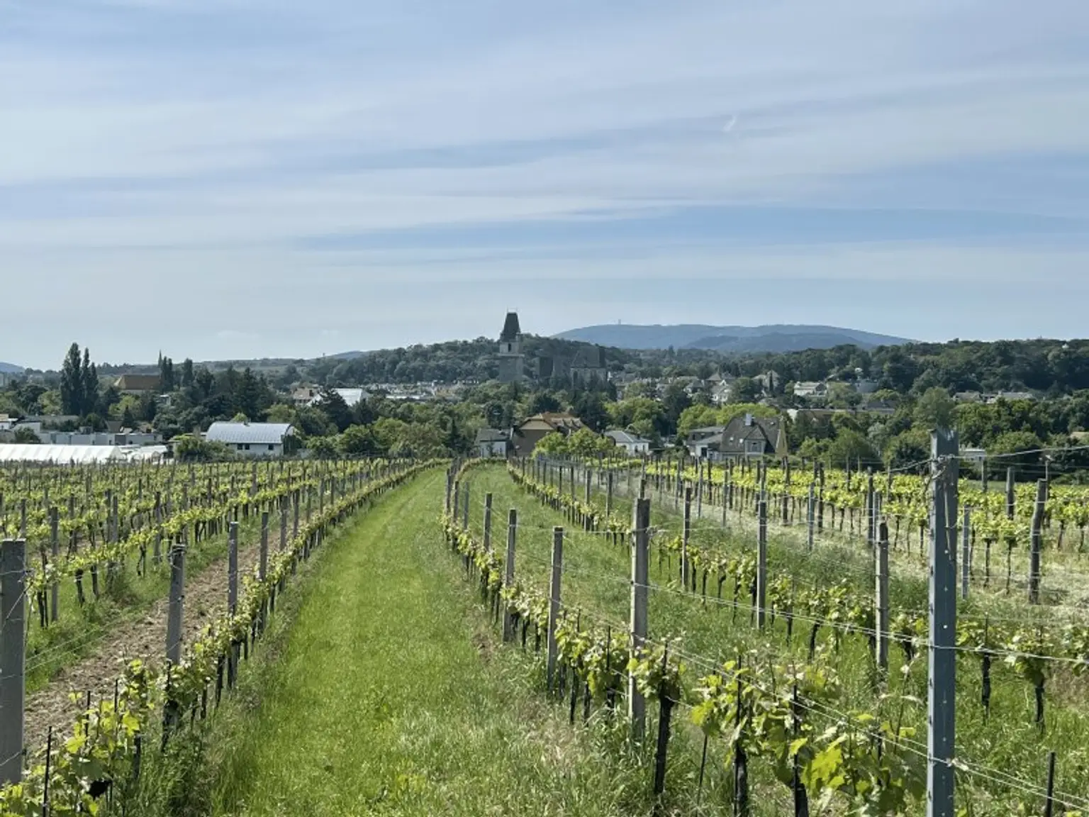 Gut aufgeteilte 3-Zimmer-Dachgeschosswohnung mit Balkon zu verkaufen!