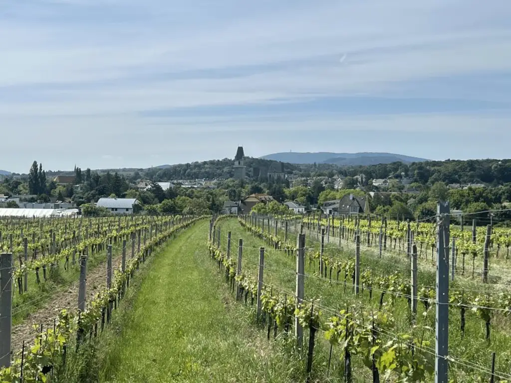 Gut aufgeteilte 3-Zimmer-Dachgeschosswohnung mit Balkon zu verkaufen!