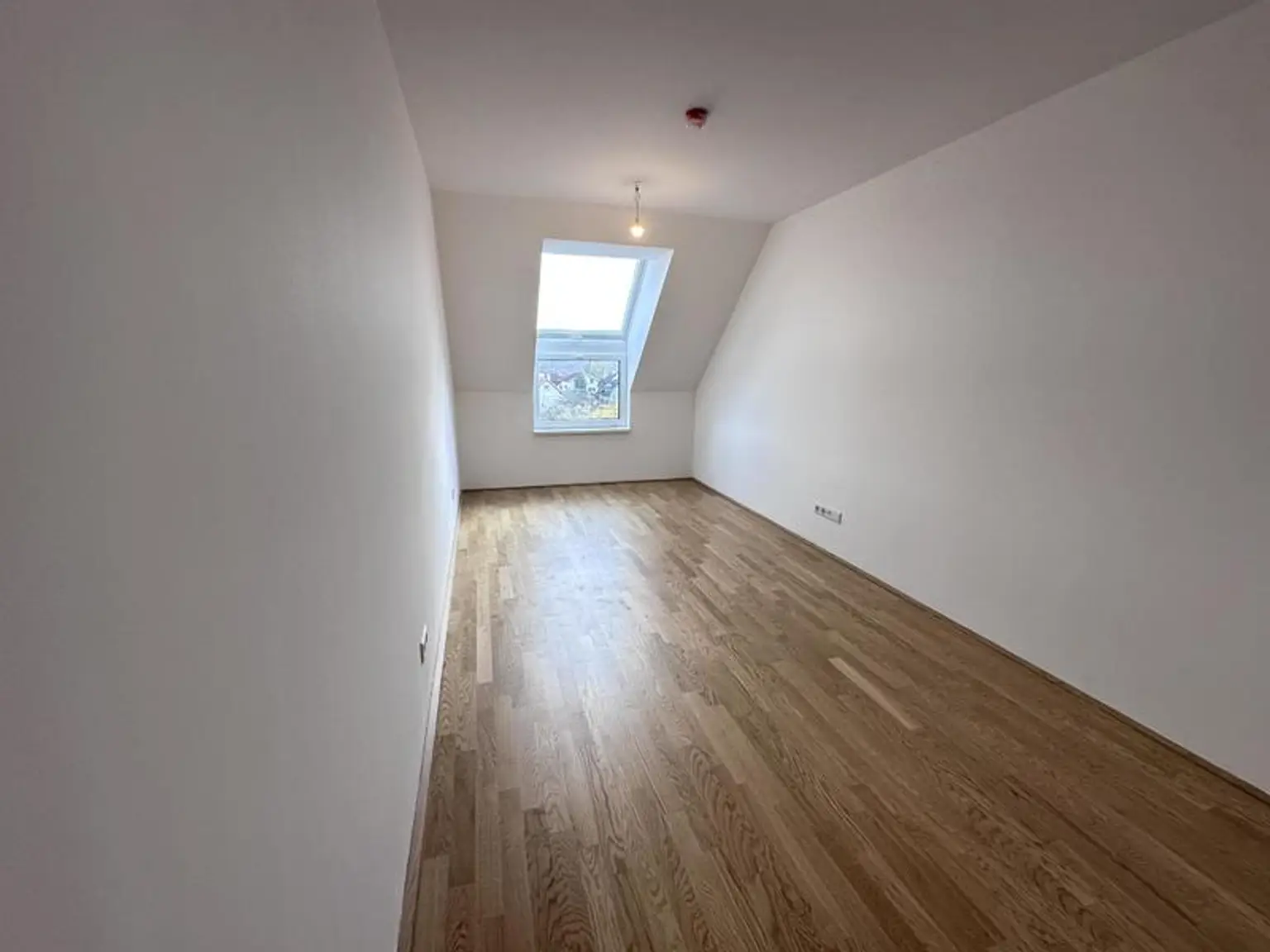 einen Katzensprung von Wien entfernt MIETE