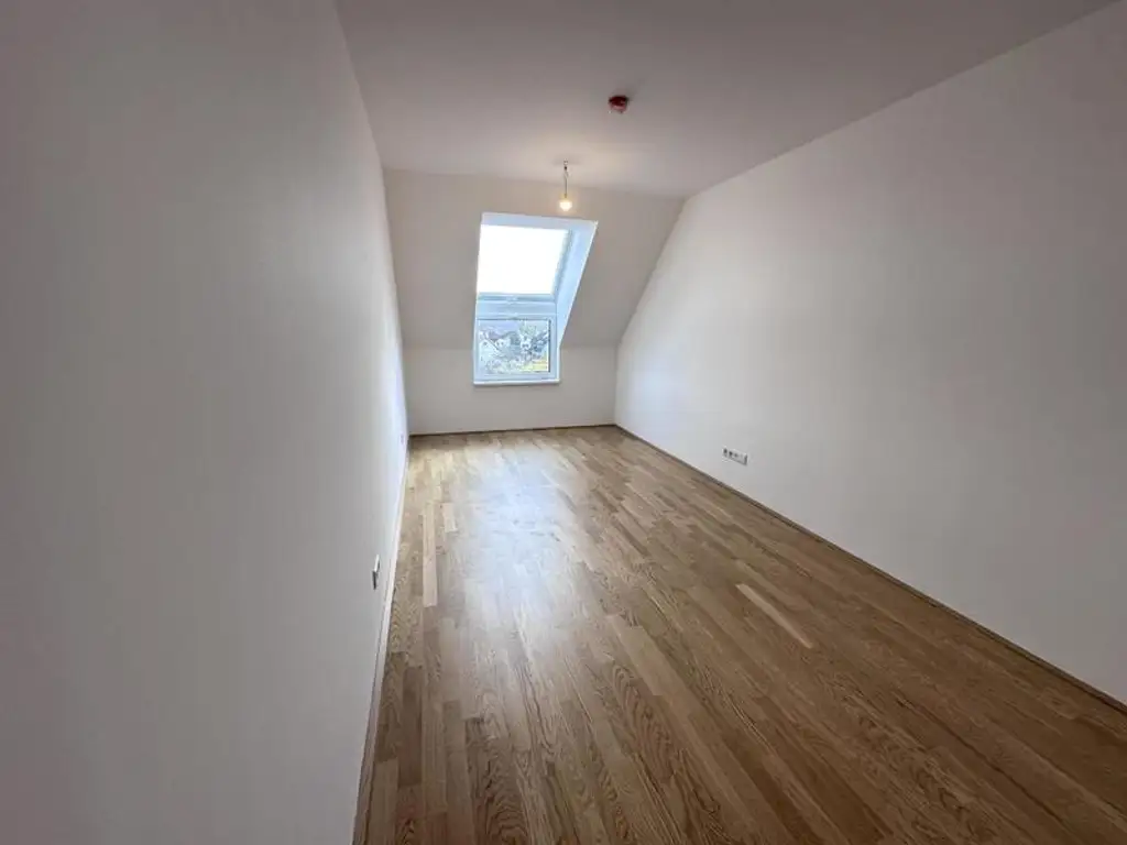 einen Katzensprung von Wien entfernt MIETE