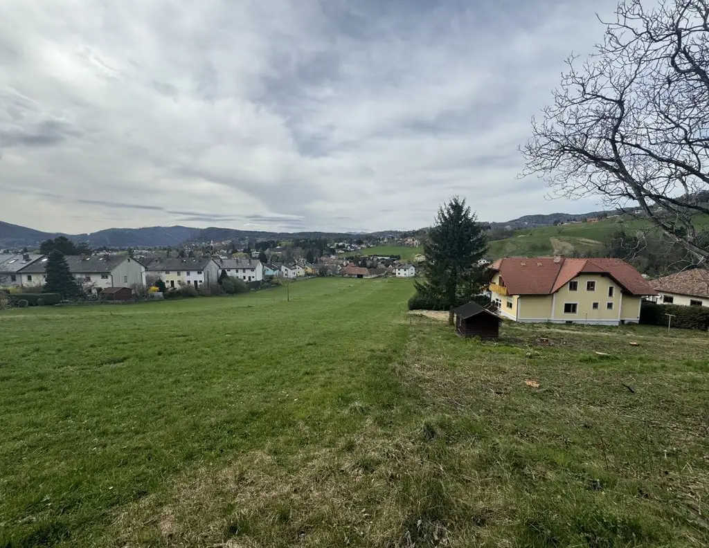 Großzügiges Grundstück in sonniger Hanglage von Graz-Andritz zu verkaufen!