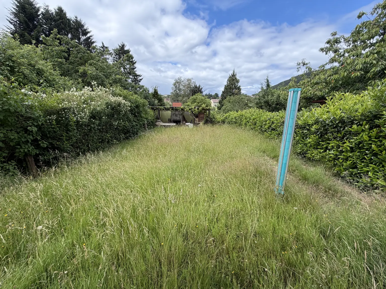 Garten 1
