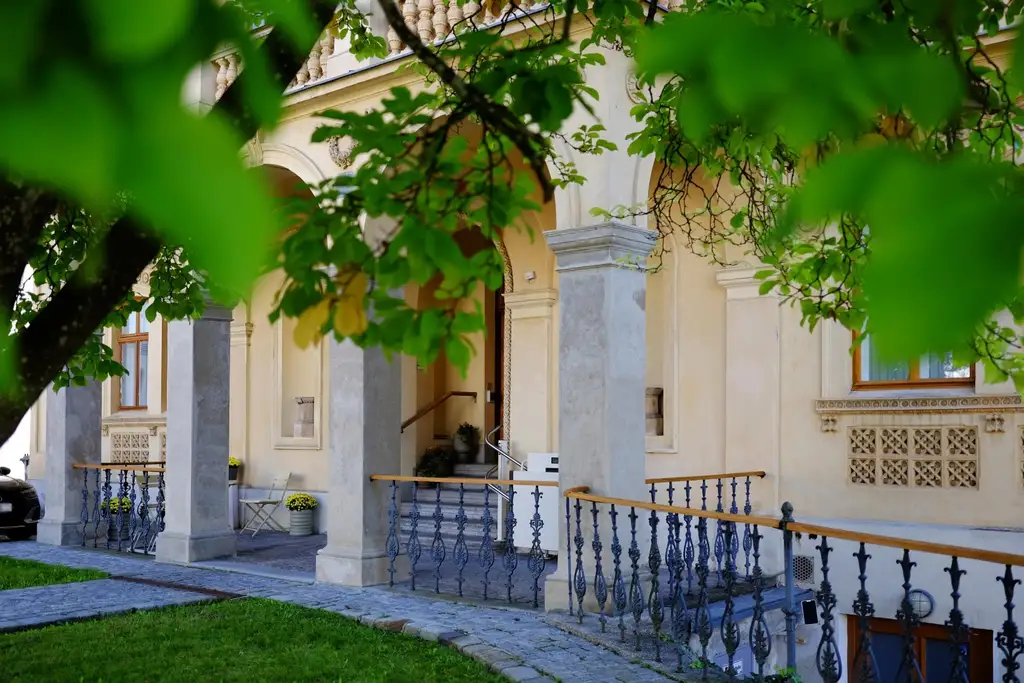 Historische Villa ALMEROTH im Stadtzentrum- Wohnen auf 250 m2 im OG plus 4 Untermieter
