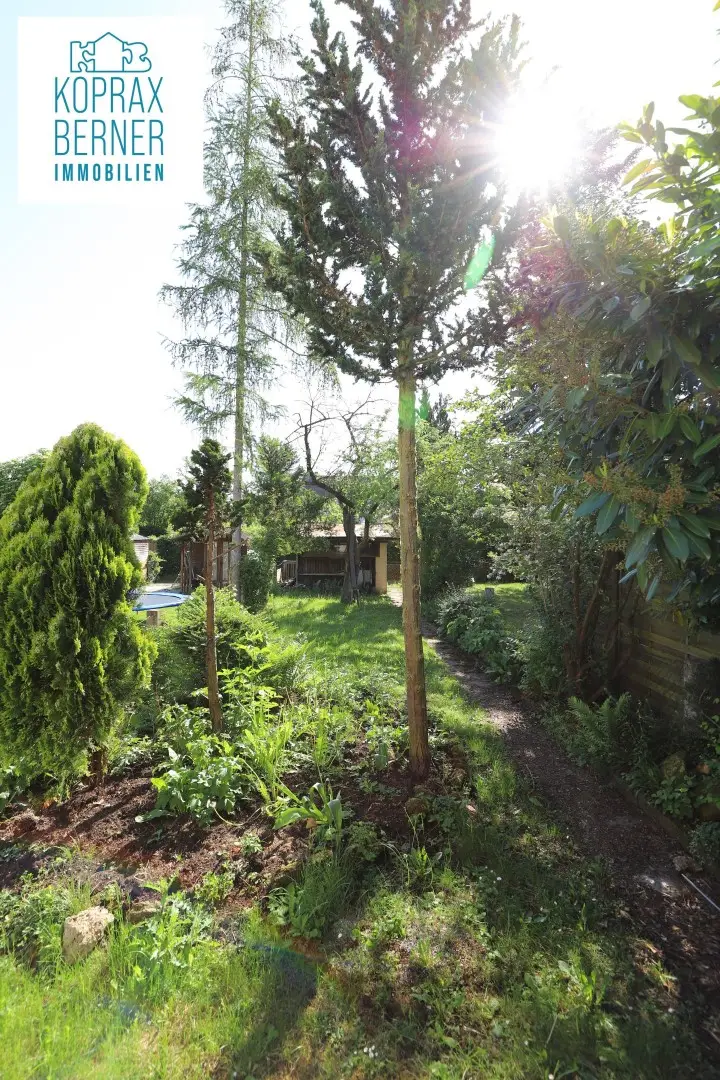 Garten 2