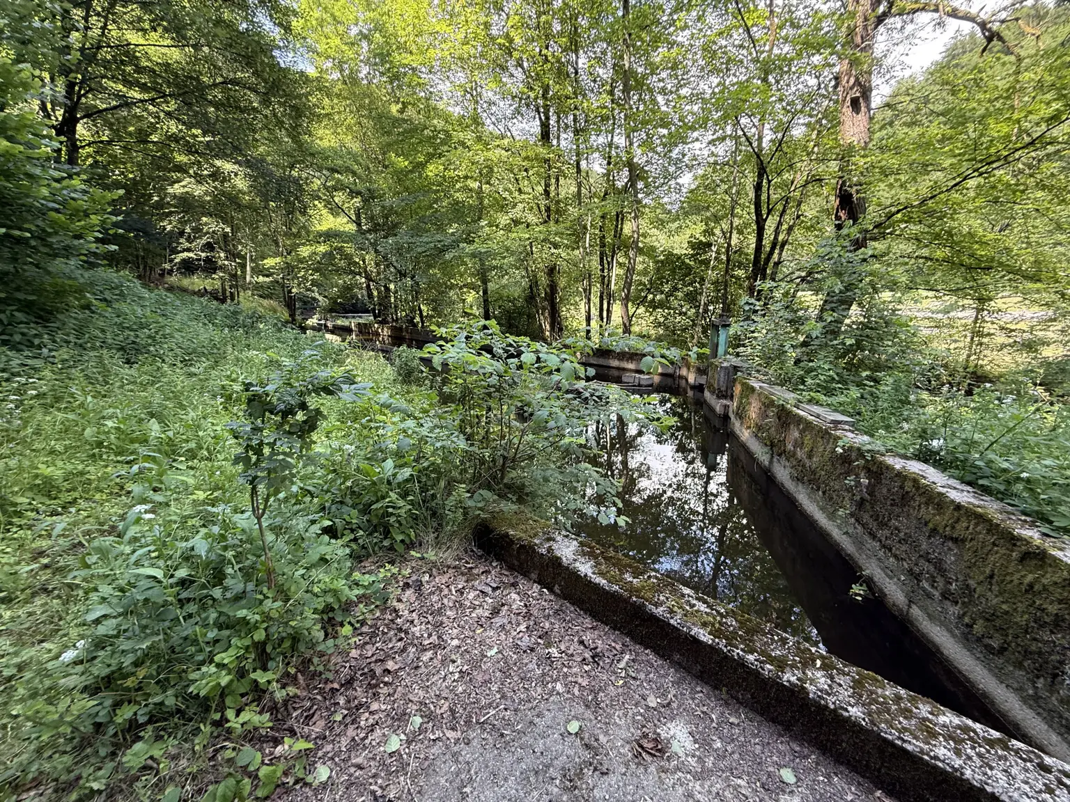 Fischbecken am Norden der Liegenschaft