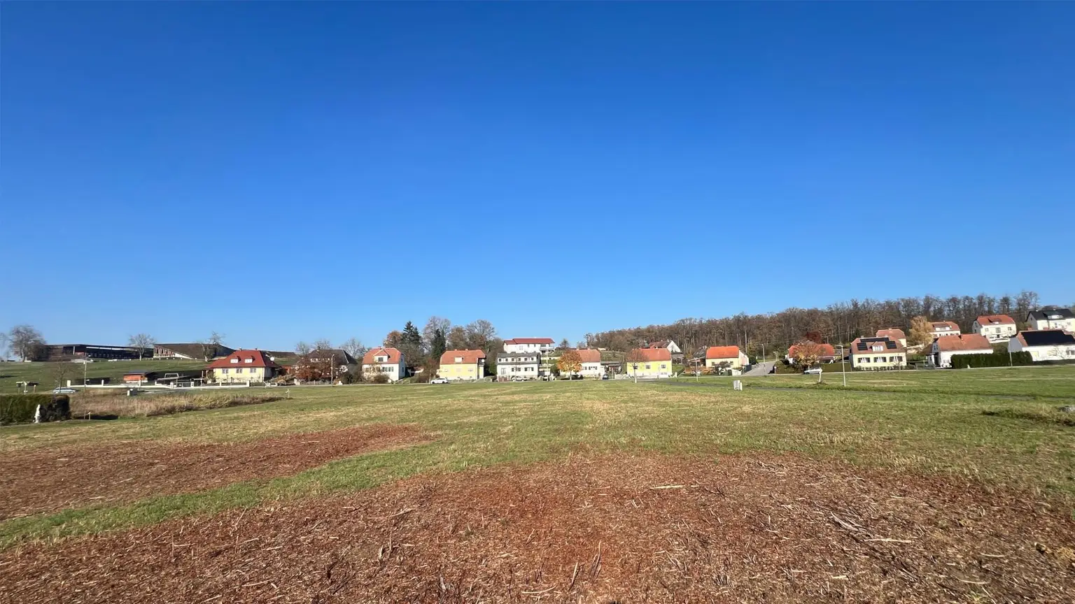 Großes Baugrundstück (ca. 1ha) in Güssinger Ortsrandlage!