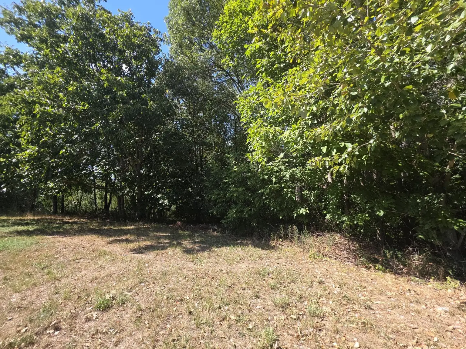 Garten mit Zugang zum Waldstück
