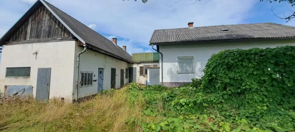 Sanierungsbedürftiges Haus mit Garage und Grünblick in Deutsch Goritz – Ihr neues Projekt!