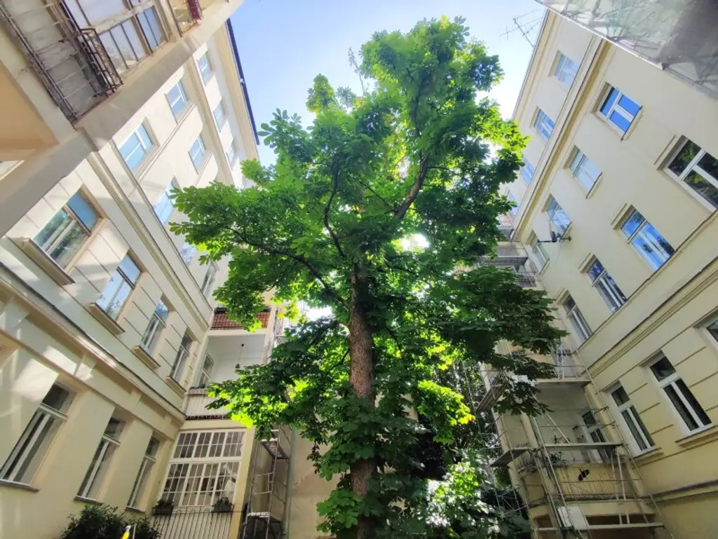 BLICK INS GRÜNE - Sanierungsbedürftiger Altbau in Hofruhelege!