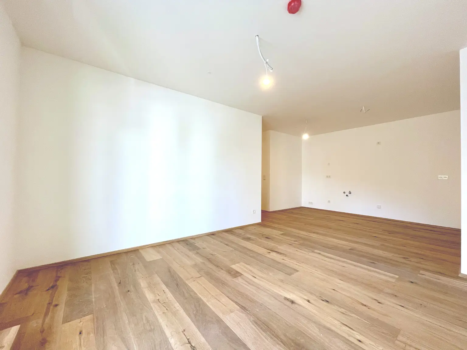 Wohnzimmer mit offener Küche