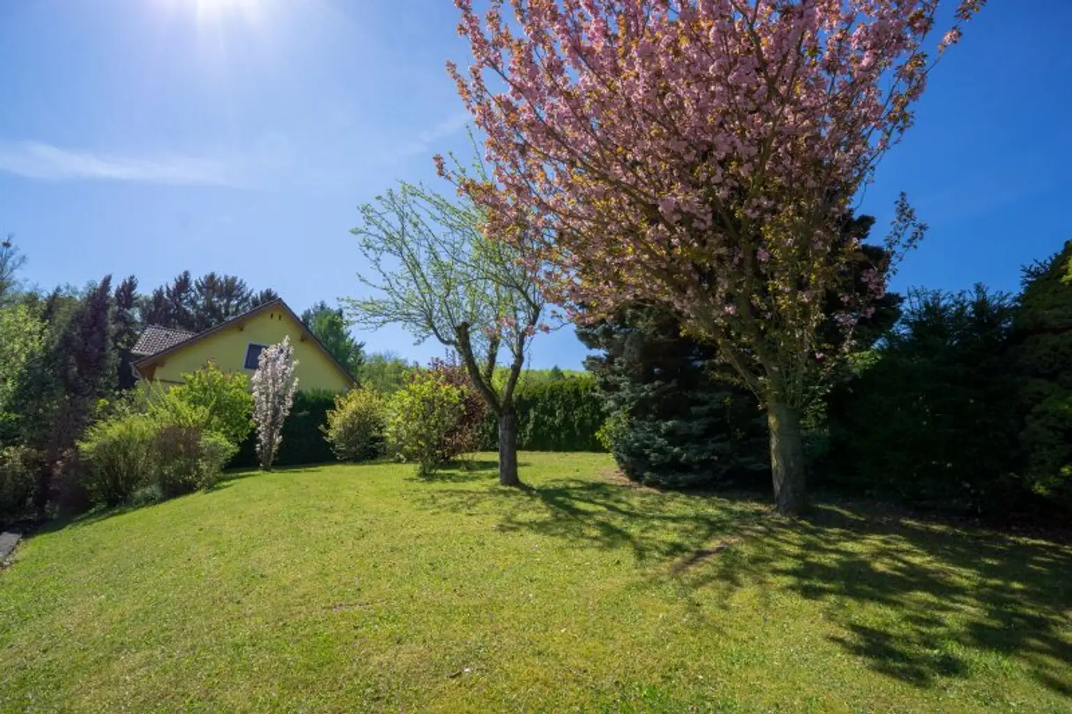 höchster Punkt des Gartens im Südwesten