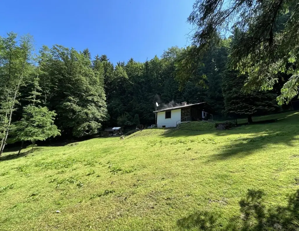 Kleine Hobbylandwirtschaft mit 36.550 m² nahe Graz