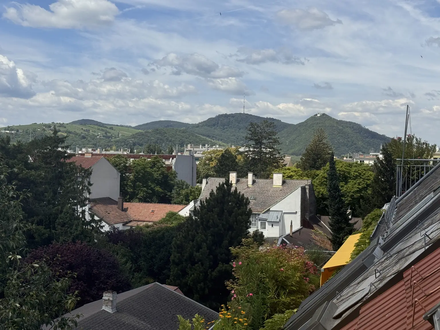 Ausblick Wohnzimmer